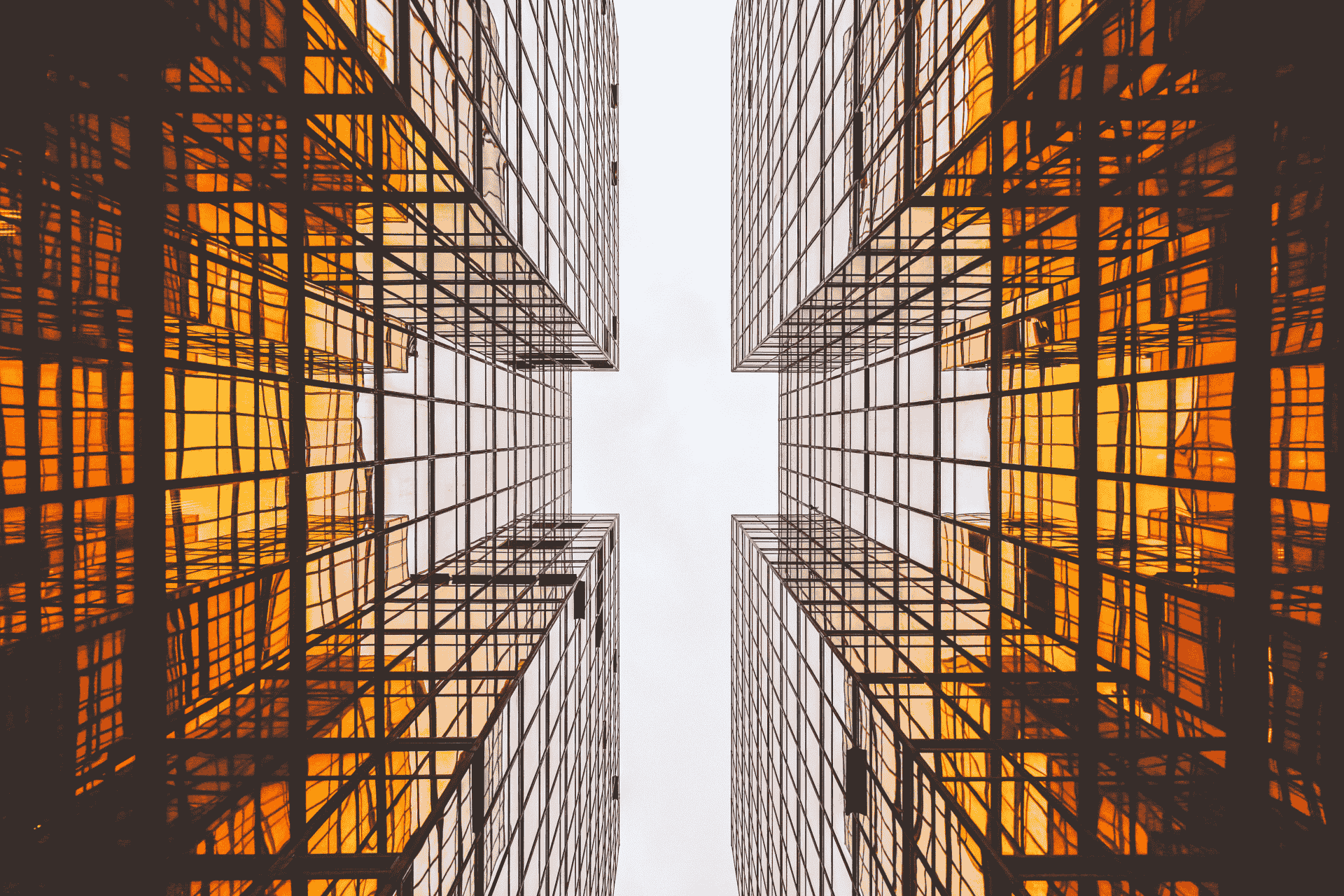 Building the Future, One Structure at a Time